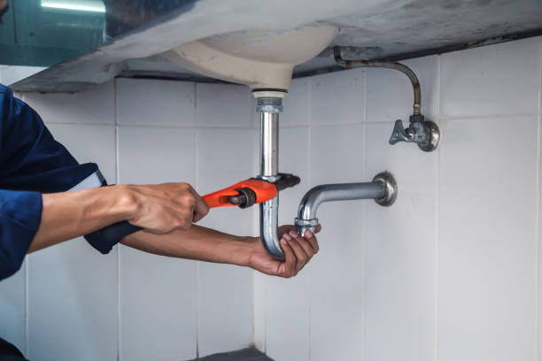 Best Local Plumber Services  in Shoreview, MN